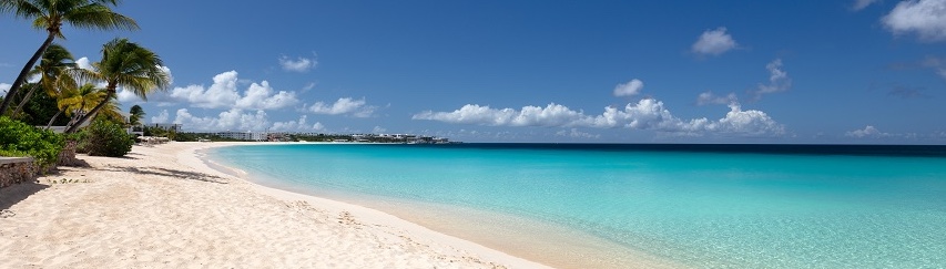 A bright turquoise beach with palm trees and white sand